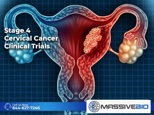 Stage 4 Cervical Cancer Clinical Trials