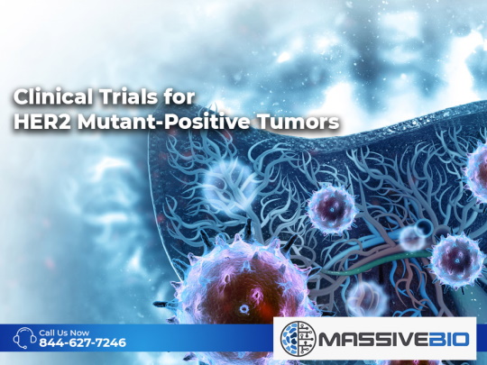 Clinical Trials for HER2 Mutant-Positive Tumors