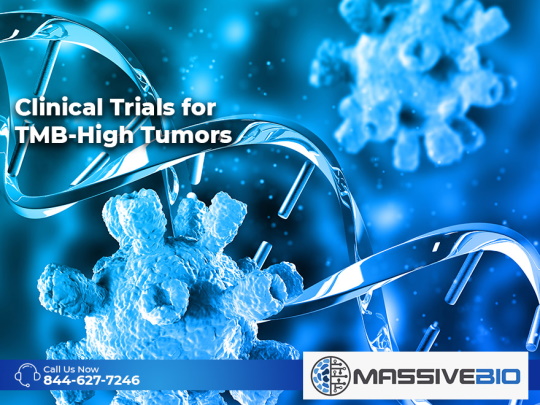 Clinical Trials for TMB-High Tumors