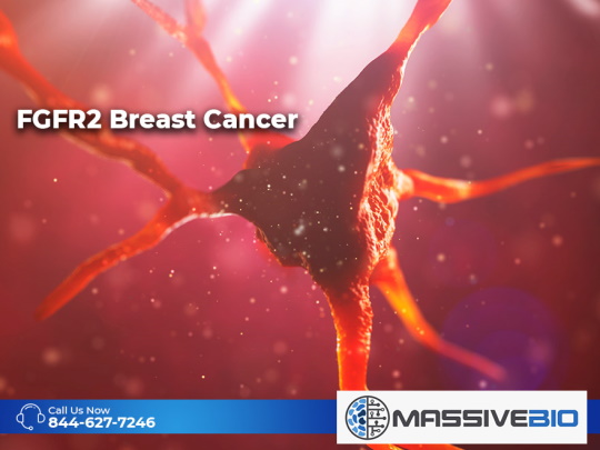 FGFR2 Breast Cancer