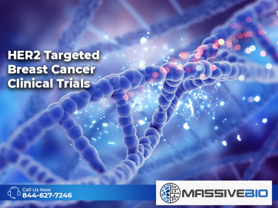HER2 Targeted Breast Cancer Clinical Trials