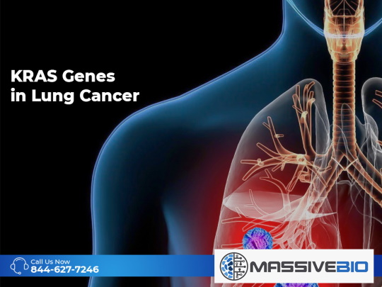 KRAS Genes in Lung Cancer