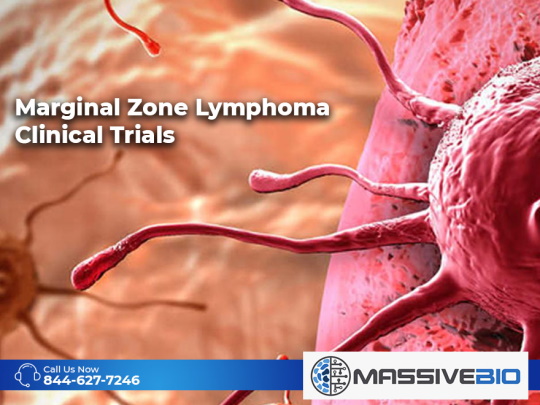 Marginal Zone Lymphoma Clinical Trials