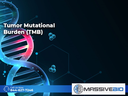 Tumor Mutational Burden (TMB)
