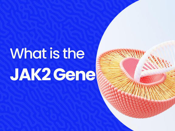 What is the JAK2 Gene